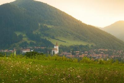 Teren de 3000 mp, în Rășinari - 2