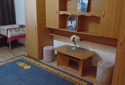 Garsonieră în Porolissum - 4
