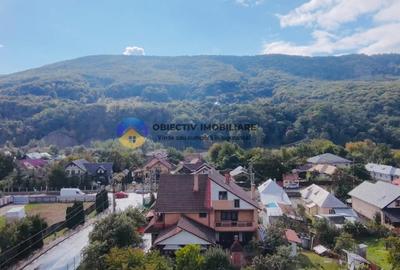 Casa + teren 1584 mp de vanzare - Piatra Neamt , zona Cetatea Neamtului - 4