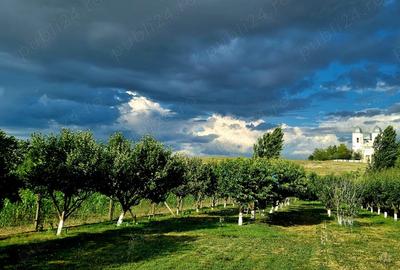 Casă cu 6 camere cu Teren 3000 Mp în Cataloi - 4