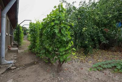 Casa cu 5 camere de vanzare | Dumbrava, Prahova I Comision 0% - 17