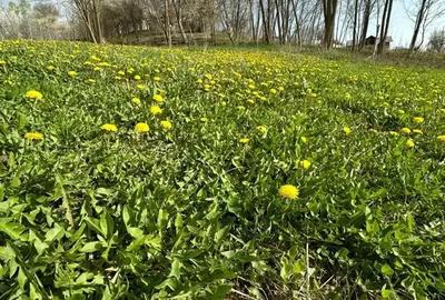 Teren intravilan de 3513 mp, în Sultanu - 4