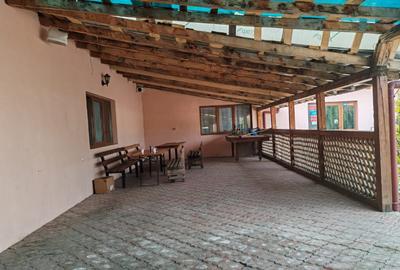 Spatiu comercial Sat Otetoaia, comuna Lunca Banului, Husi, - 6