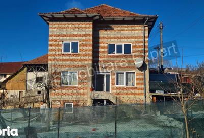Casă cu 3 camere cu Teren 3877 Mp în Valea Danului - 16