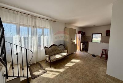 Casă cu 5 camere cu Teren 3400 Mp în Răchitosu - 4