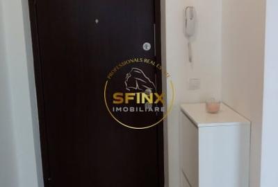 Garsoniera de inchiriat Piata Alba Iulia - 8