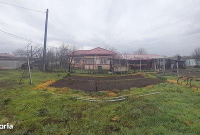 Casă cu 6 camere cu Teren 1760 Mp în Măldăeni - 5