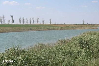 Teren de 430000 mp, în Reviga - 2