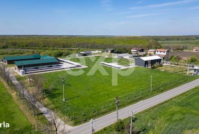 Spațiu comercial, în Crânguri - 8