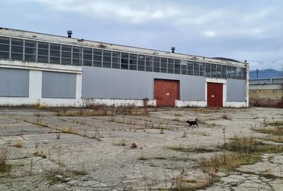 Brasov hala industriala 2000 mp cu platforma betonata - 7