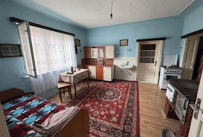 Casă cu 4 camere în Halmeu - 1