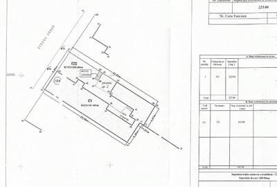 Casa Curte comuna zona Abrud  Ion Mihalache Turda Domenii - 4
