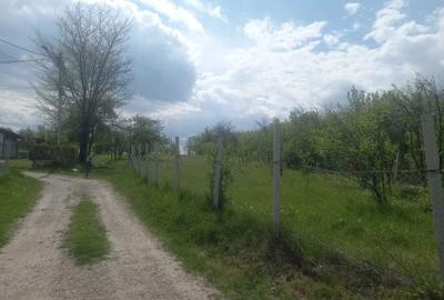 Teren de 1700 mp, în Ogretin - 1