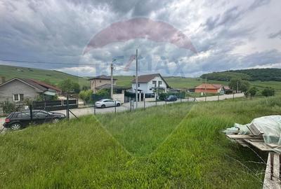 Teren Construcții intravilan de 916 mp, în Dezmir - 3