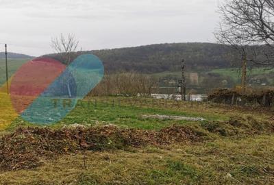 Casa individuala 1 camera, 51 mp, 3000 mp teren, Geaca - 3