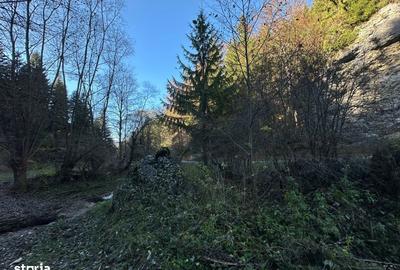 Teren de 2882 mp, în Dâmbovicioara - 3