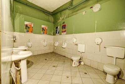 Spatiu Comercial de vanzare LIPSCANI, 209mp - 23