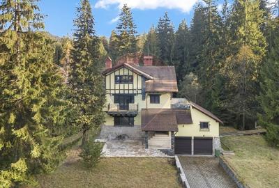 Proprietate cu potențial uriaș – Timișul de Sus – Brașov - 44