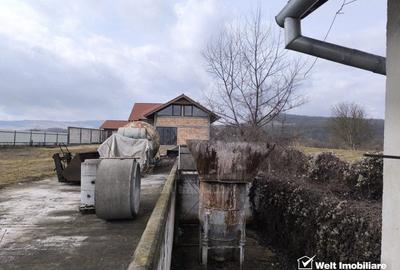 Oportunitate investitie- teren industrial, cu constructii diverse - Gherla - 15