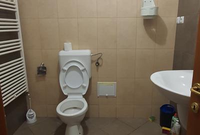 Ferdinand, str Fluierului, inchiriere spatiu birouri - 11