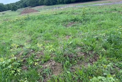 Teren de vanzare, zona linistita - 3