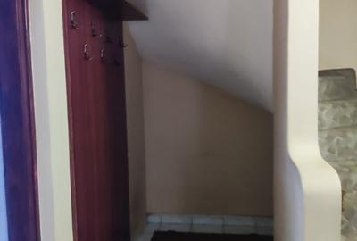 Vilă 5 camere, P+1+M curte proprie - 22