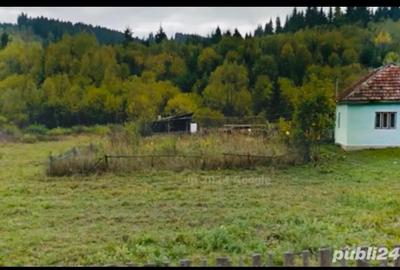 Teren de vânzare Toplița Harghita Teren de vânzare Toplița Harghita - 2