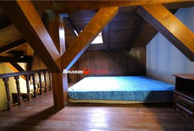 Casa primitoare in cartierul Iosia - 15