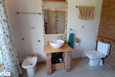 Casă cu 3 camere cu Teren 2135 Mp în Petrești - 13