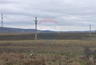 Teren agricol extravilan de 41025 mp, în Periferie - 2