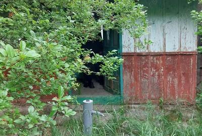 Vand casa cu teren Socodor , jud.Arad - 2