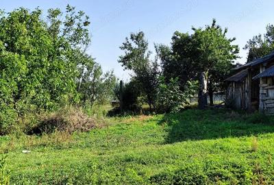Casă cu 2 camere cu Teren 4600 Mp în Calea Mare - 3