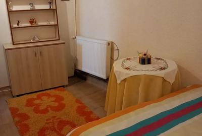 CHELTUIELI INCLUSE: Camera de inchiriat la demisol zona Penny Autogara CHELTUIELI INCLUSE: Camera de inchiriat la demisol zona Penny Autogara - 4