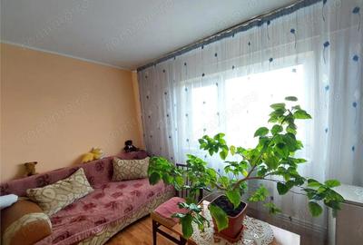 Apartament cu 2 camere semidecomandat în Broșteni - 2