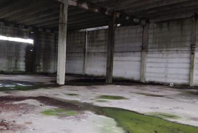 Spațiu industrial, de 4,900 mp, în Mitreni - 7