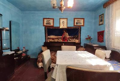 Casă cu 2 camere cu Teren 4600 Mp în Calea Mare - 14