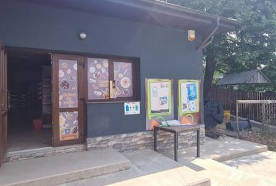 Casă cu 8 camere cu Teren 2370 Mp în Central - 9