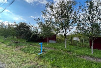 Teren de 1600 mp, în Cuied - 8