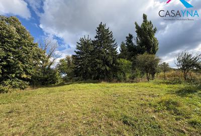 Lot teren 8.344 mp - Deschidere la 3 drumuri - Buhoci! - 1