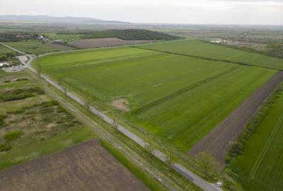 Teren de 22500 mp, în Central - 6