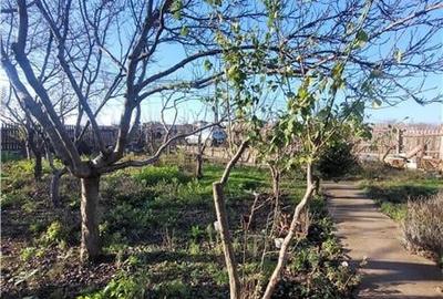 Constructie plus Teren Intravilan 2500 mp - Lazu - 15