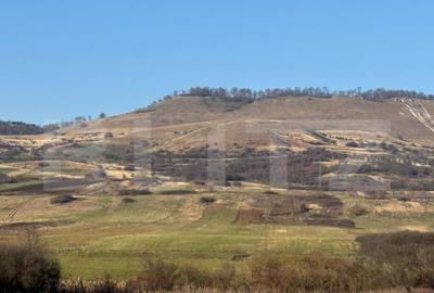 5 terenuri extravilane agricole cu suprafata totala de 13.37 - 1