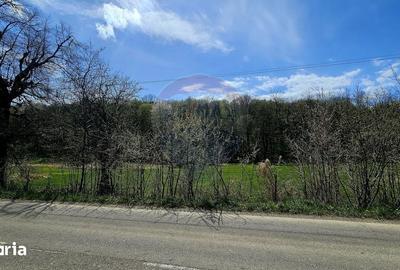 Teren de 10000 mp, în Vânători-Neamț - 7