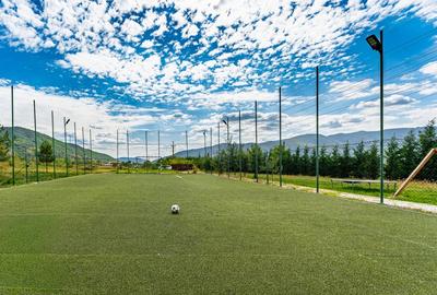 Vila turistica cu 8 camere + casute A-frame, teren 5575 mp Calimanesti, VL - 5