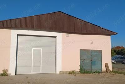 Spațiu comercial, de 3,000 mp, în Făget - 8