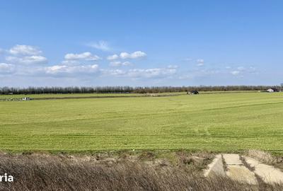 Spațiu comercial, în Central