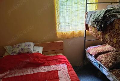 Casă cu Teren 2000 Mp în Scrind-Frăsinet - 9