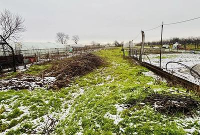 Casă cu 3 camere cu Teren 1350 Mp în Puntea de Greci - 9