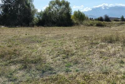 Teren de 7500 mp, în Vulcan - 1