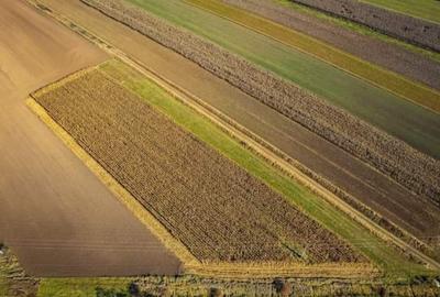 De vanzare teren intravilan la intrarea in Arcus - 14